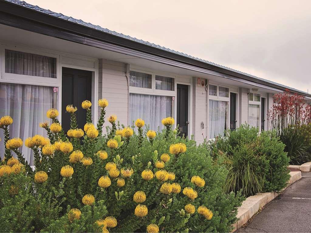 เอซ แอคคอมมอเดชั่น แอลบานี Motel ภายนอก รูปภาพ